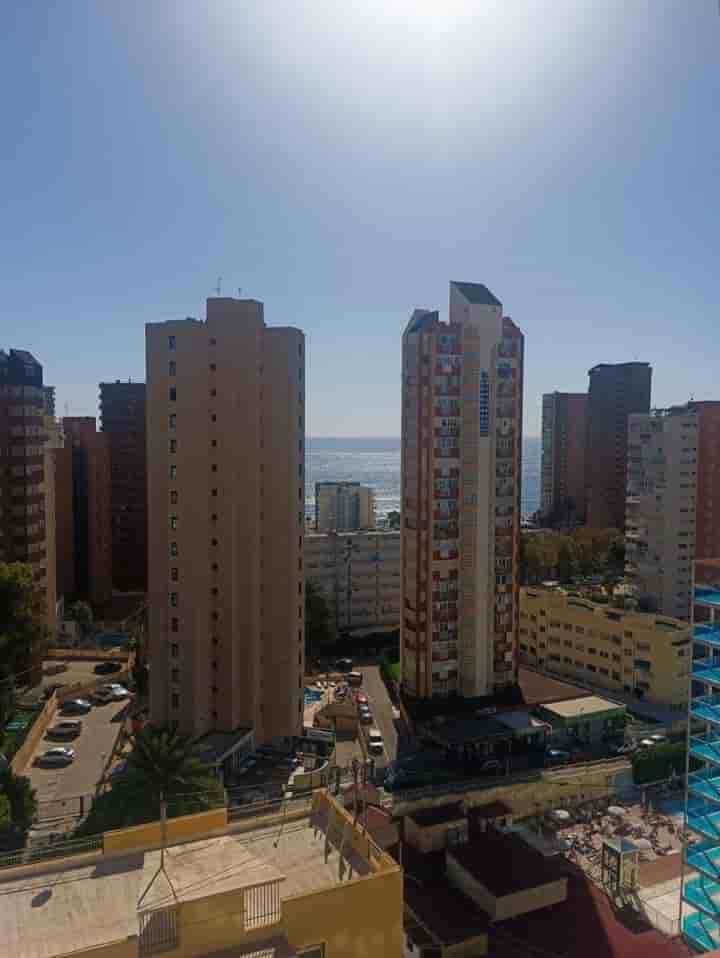 Wohnung zur Miete in Benidorm