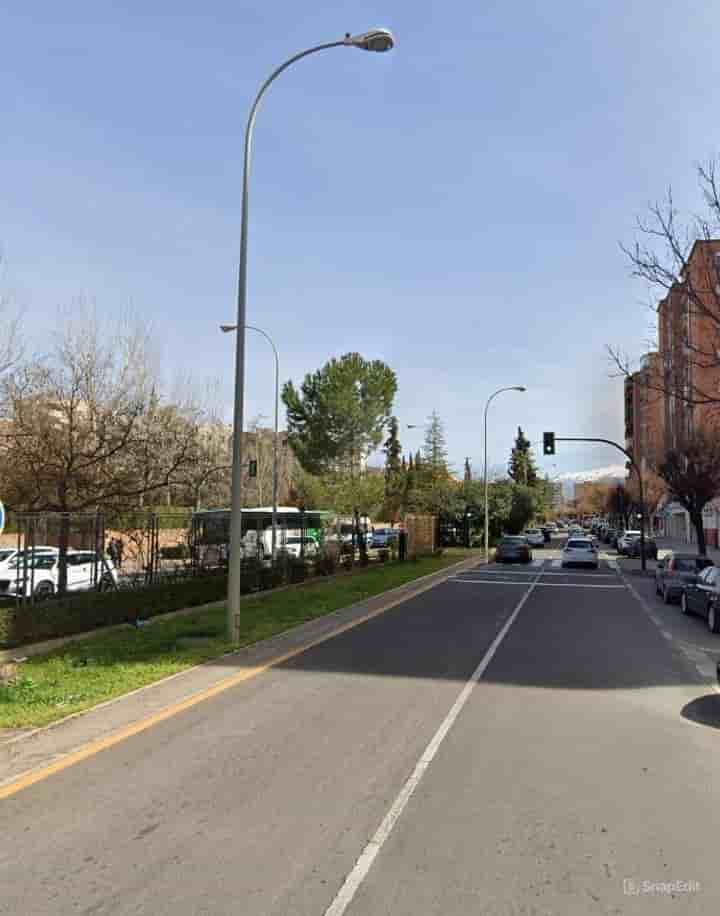 Apartment for rent in Angustias-Chana-Encina