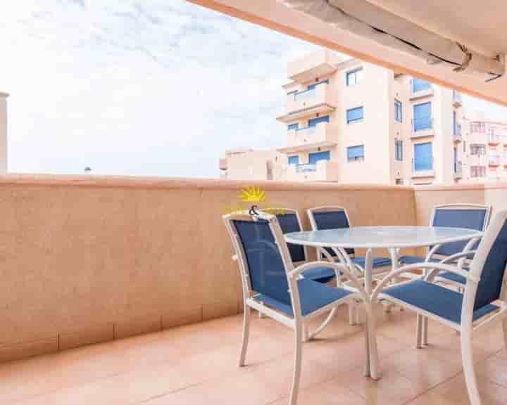 Apartment for rent in Zona Galúa-Calnegre