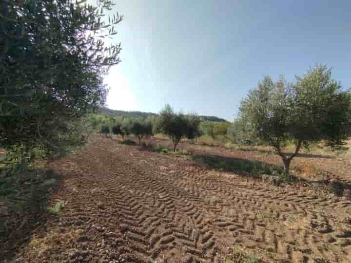 House for sale in Torre del Compte