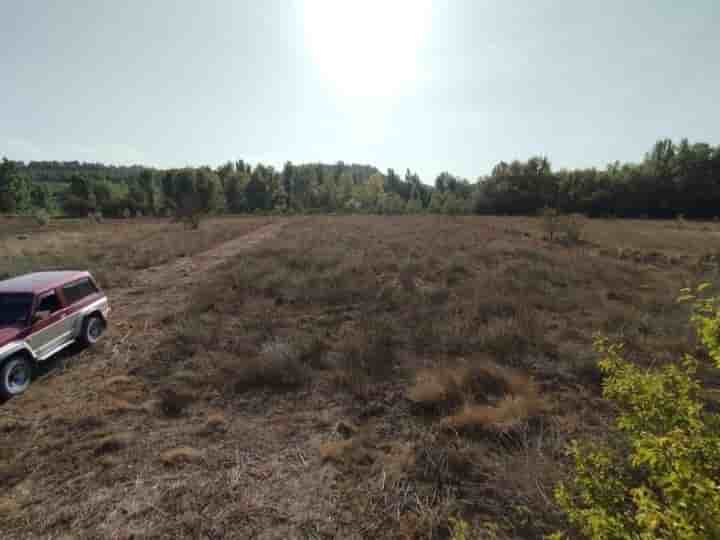 House for sale in Torre del Compte