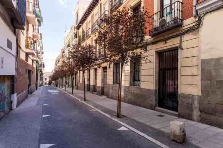 Appartement à louer à Embajadores