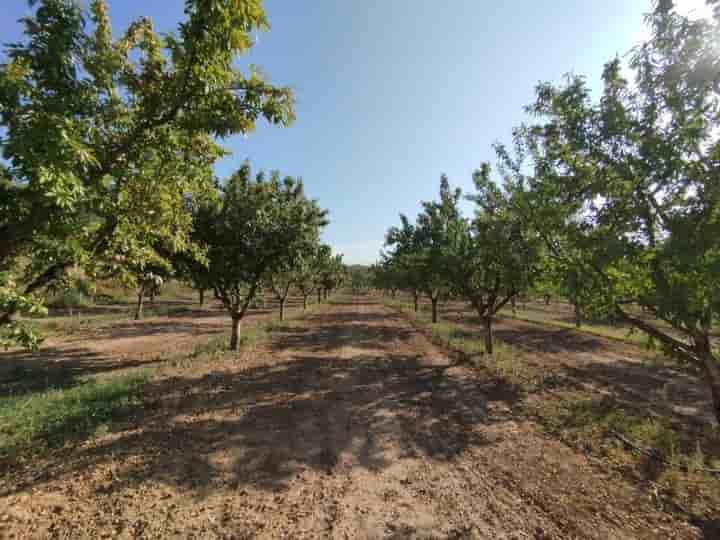 Casa en venta en Torre del Compte