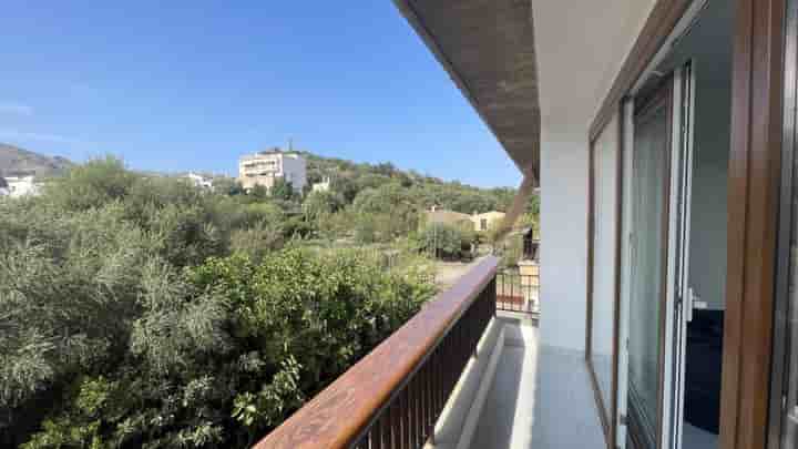 Apartment for rent in Pollença