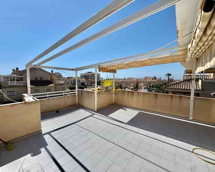 House for rent in Torreblanca