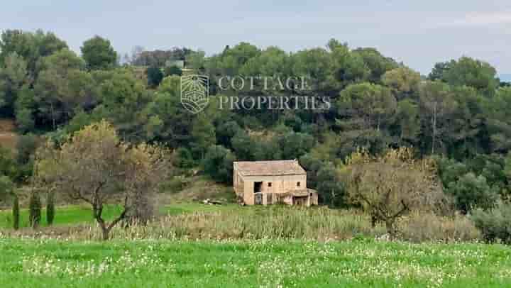 Maison à vendre à Lladó