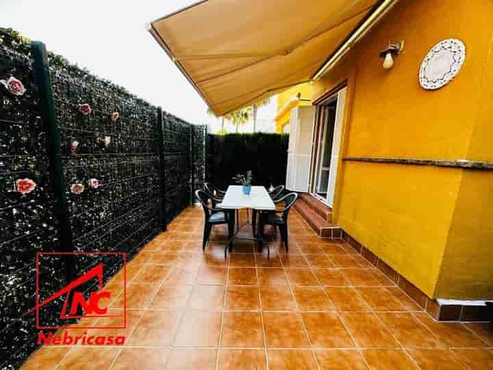 Apartamento en alquiler en Costa Ballena - Largo norte