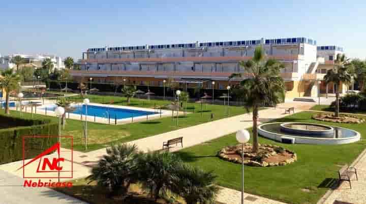 Apartment for rent in Las Tres Piedras - Costa Ballena