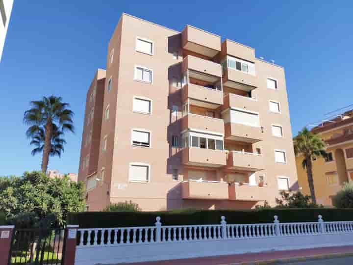 Apartamento en alquiler en La Mata