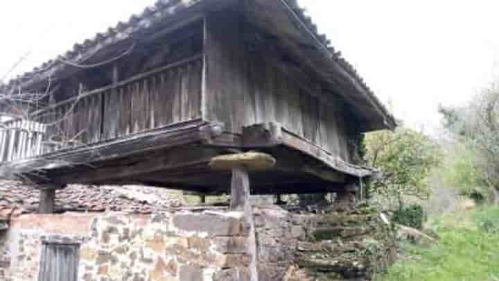 Maison à vendre à Salas