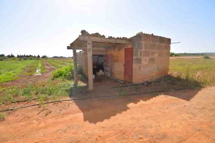 House for sale in Muro