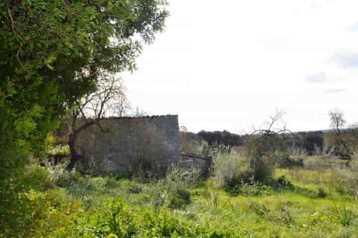 Haus zum Verkauf in Muro