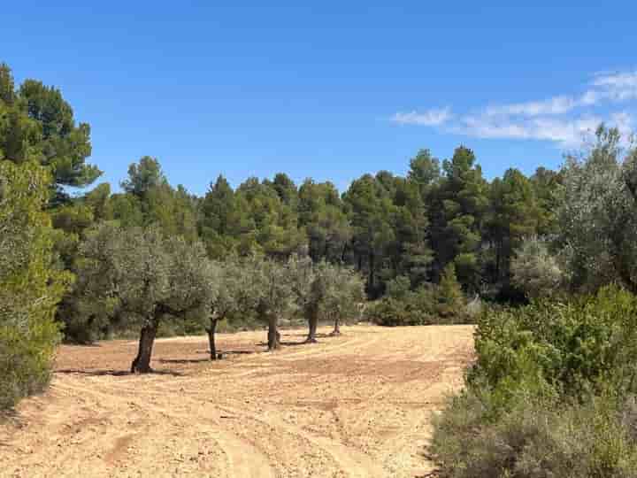 Casa in vendita a Cretas