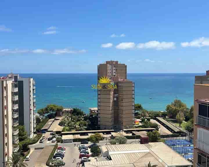 Apartamento en alquiler en Campoamor