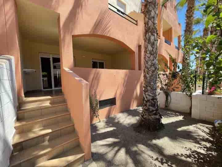 Apartment for rent in Cala Marqués