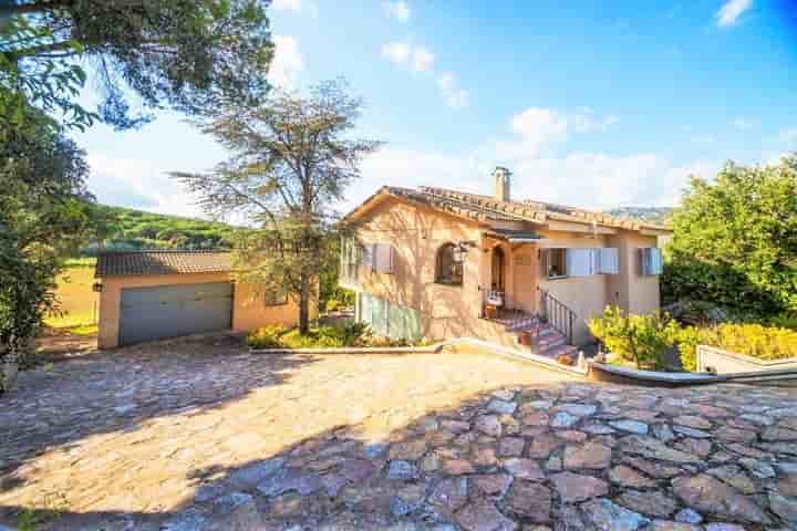 Maison à vendre à SAgaro