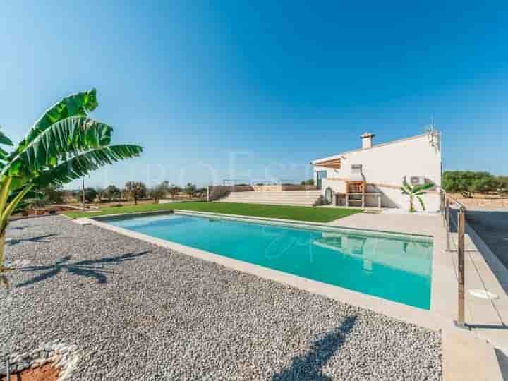 Maison à louer à Campos