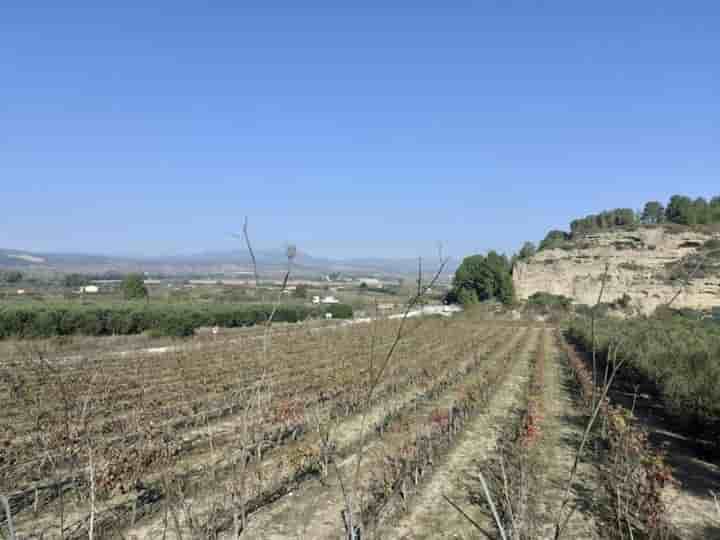 House for sale in Ginestar
