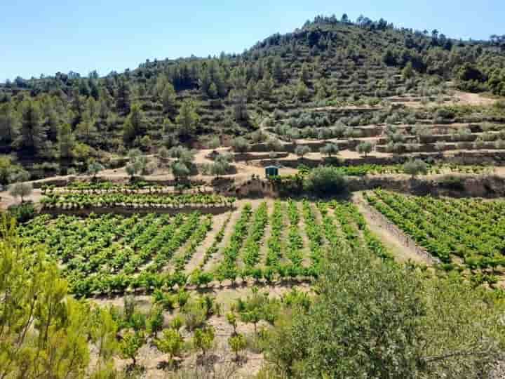 Дом для продажи в Eixample