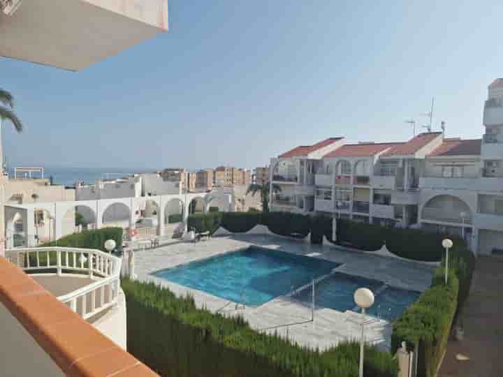 Apartment for rent in Torrevieja