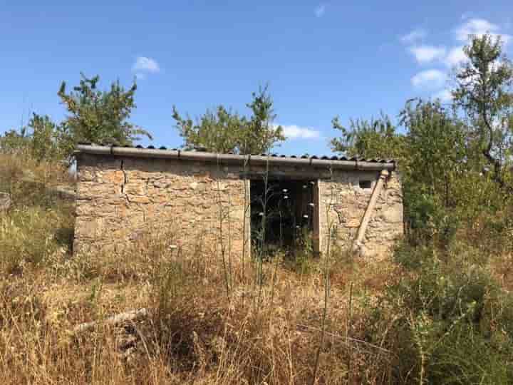 House for sale in Bot