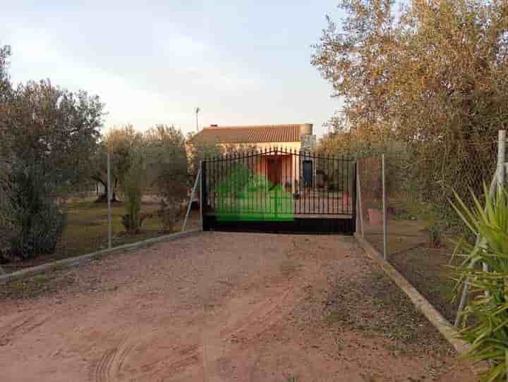 Maison à vendre à Montijo