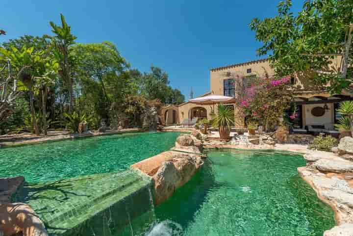 Casa para venda em LAlqueria Blanca