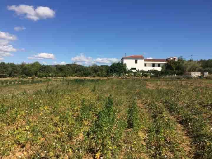 Casa en venta en Sant Salvador