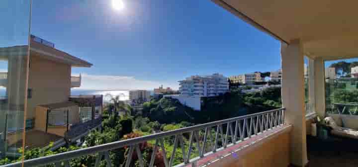 Apartment for rent in Carvajal - Las Gaviotas