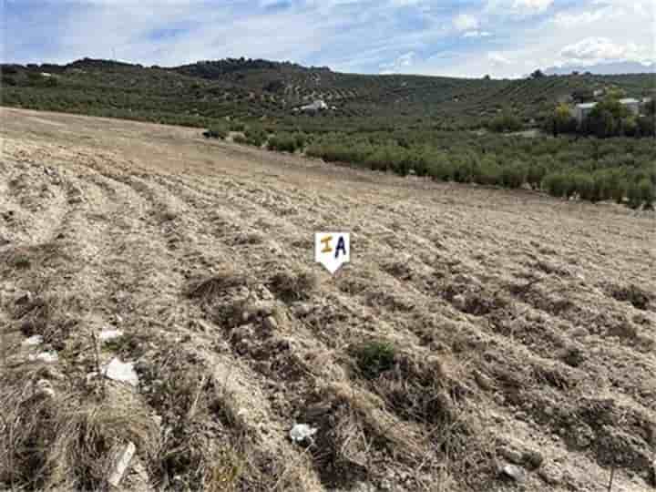 Casa para venda em Rute