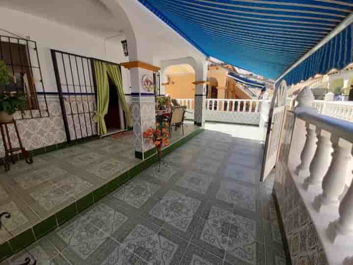 House for rent in La Mata