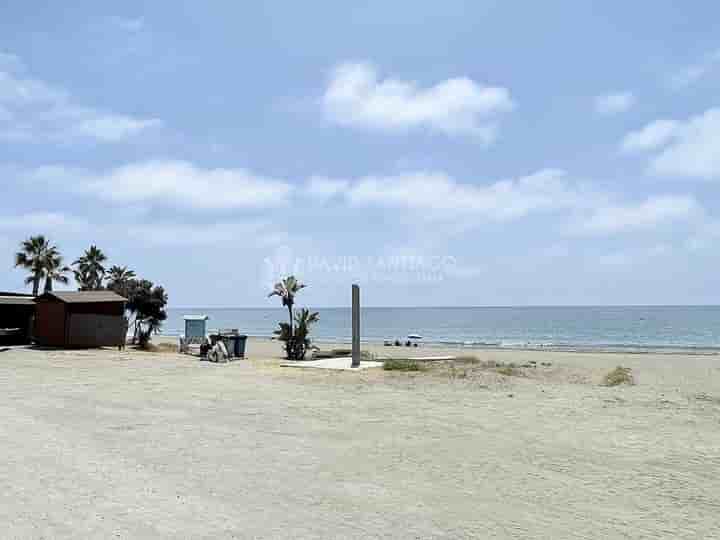 Haus zur Miete in Añoreta baja