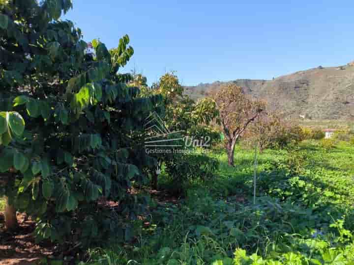 Casa para venda em Valsequillo de Gran Canaria