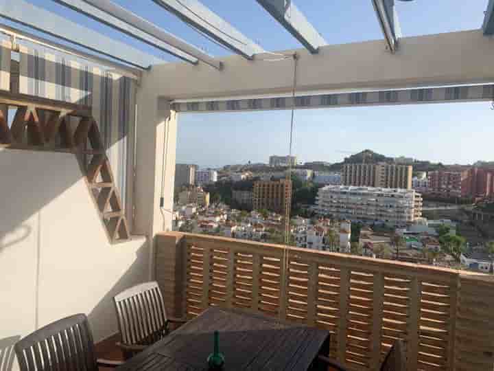 Apartamento en alquiler en Parque de la Paloma