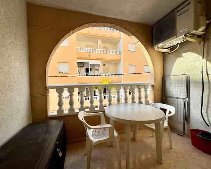 Apartamento en alquiler en El Molino