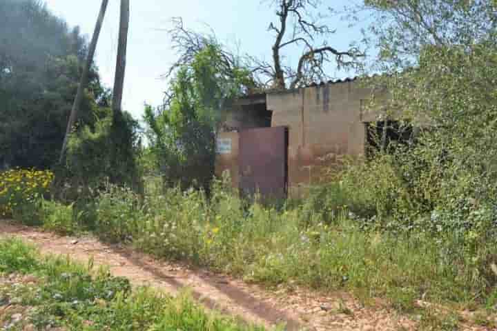 Casa para venda em Llubí