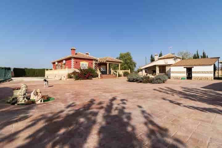 House for sale in Pliego