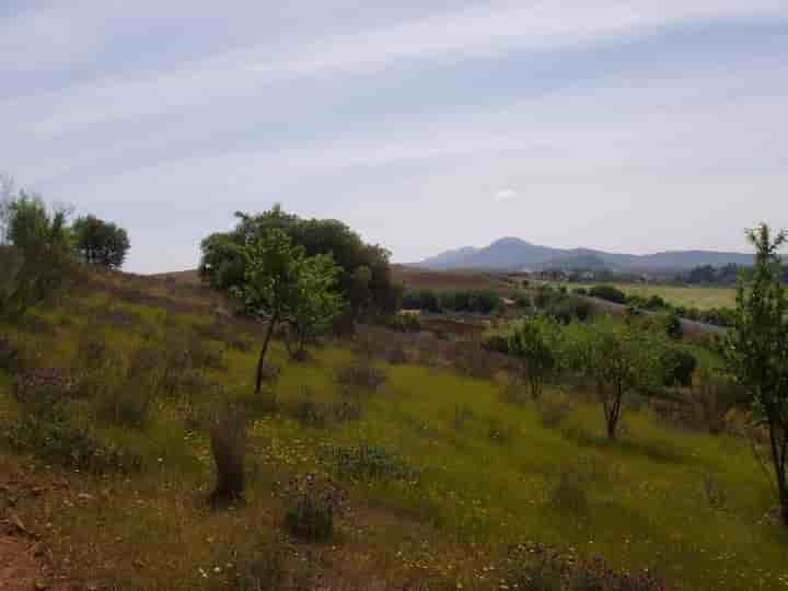 Casa in vendita a Don Álvaro