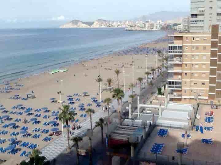 Appartement à louer à Rincón de Loix