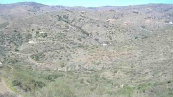 Casa para venda em Olías