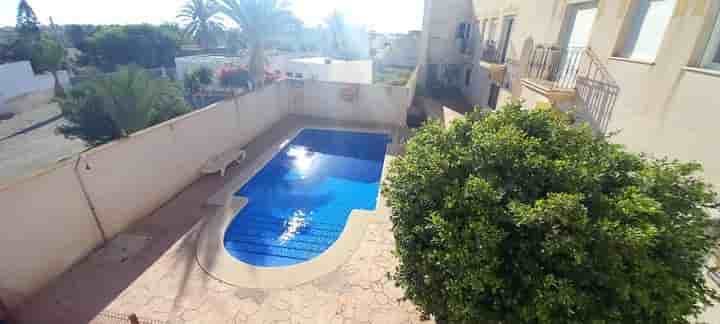 Apartment for rent in Palomares