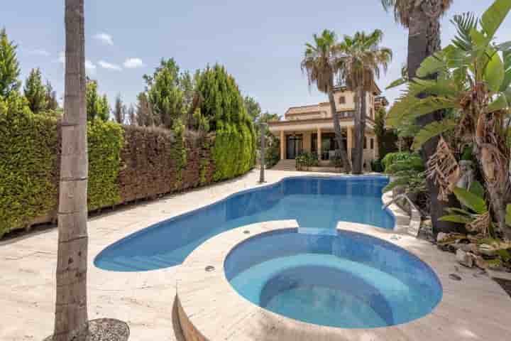 Casa para venda em Molina de Segura