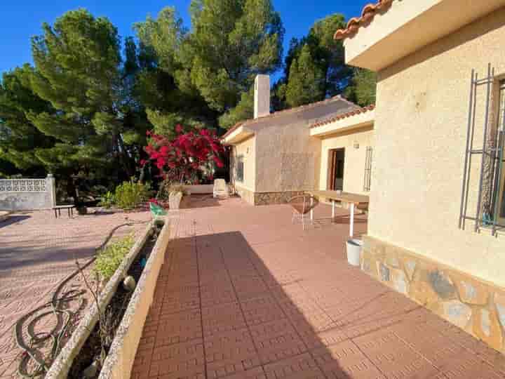 Maison à louer à Algorfa