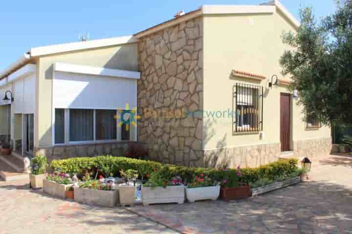 House for rent in Oliva