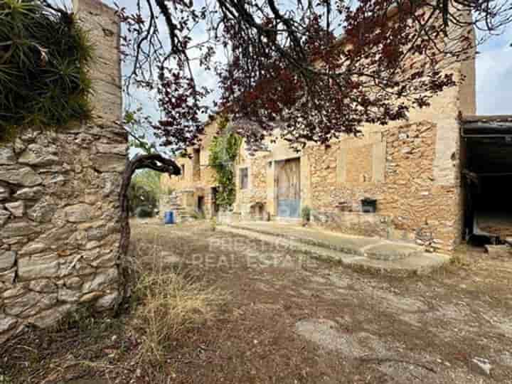 Other for sale in Arta