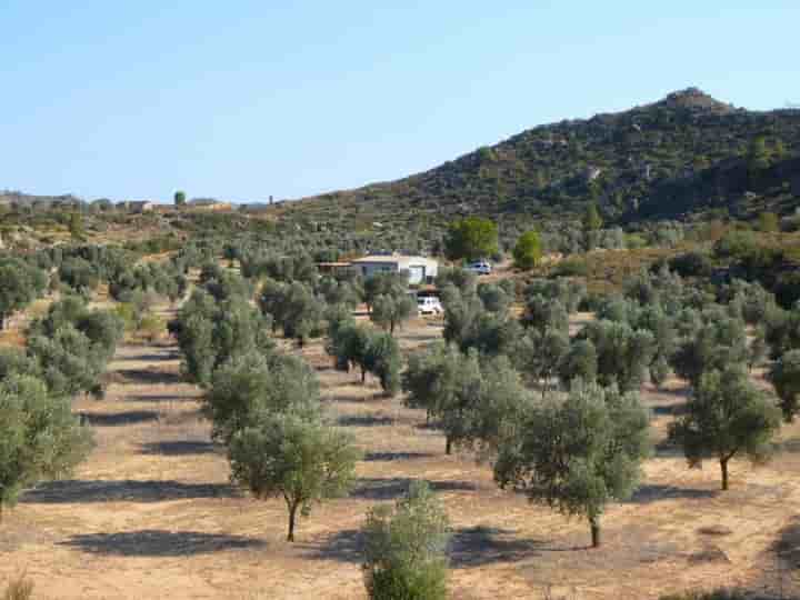 Casa in vendita a Maella