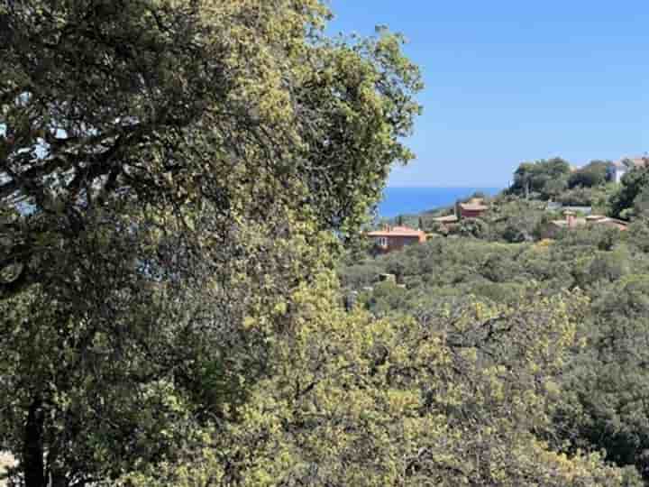 Autre à vendre à Begur