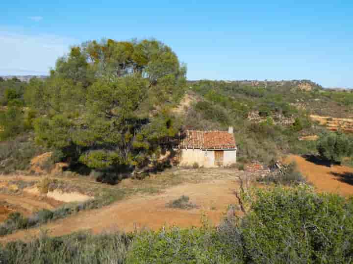 House for sale in Maella