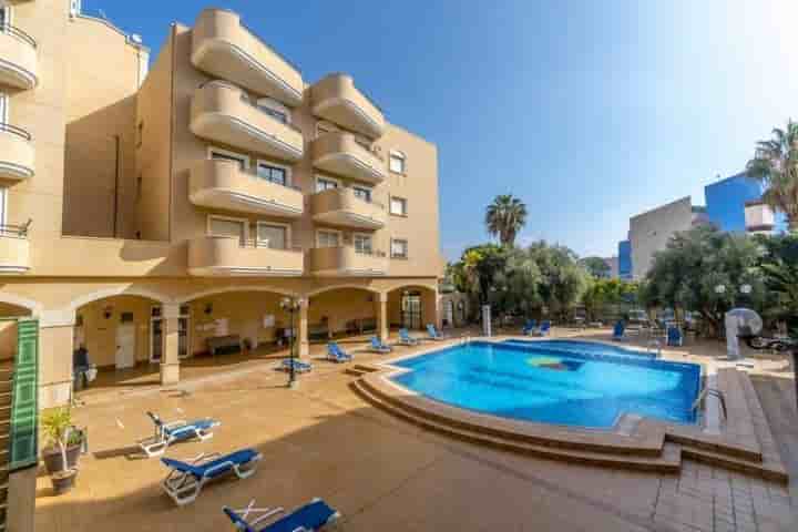 Apartamento en alquiler en Orihuela Costa