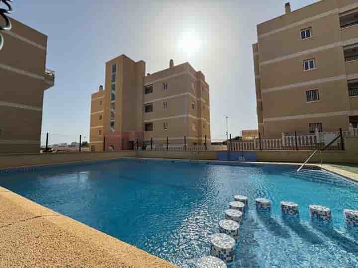 Apartamento en alquiler en Parque Acuático - Sector 25